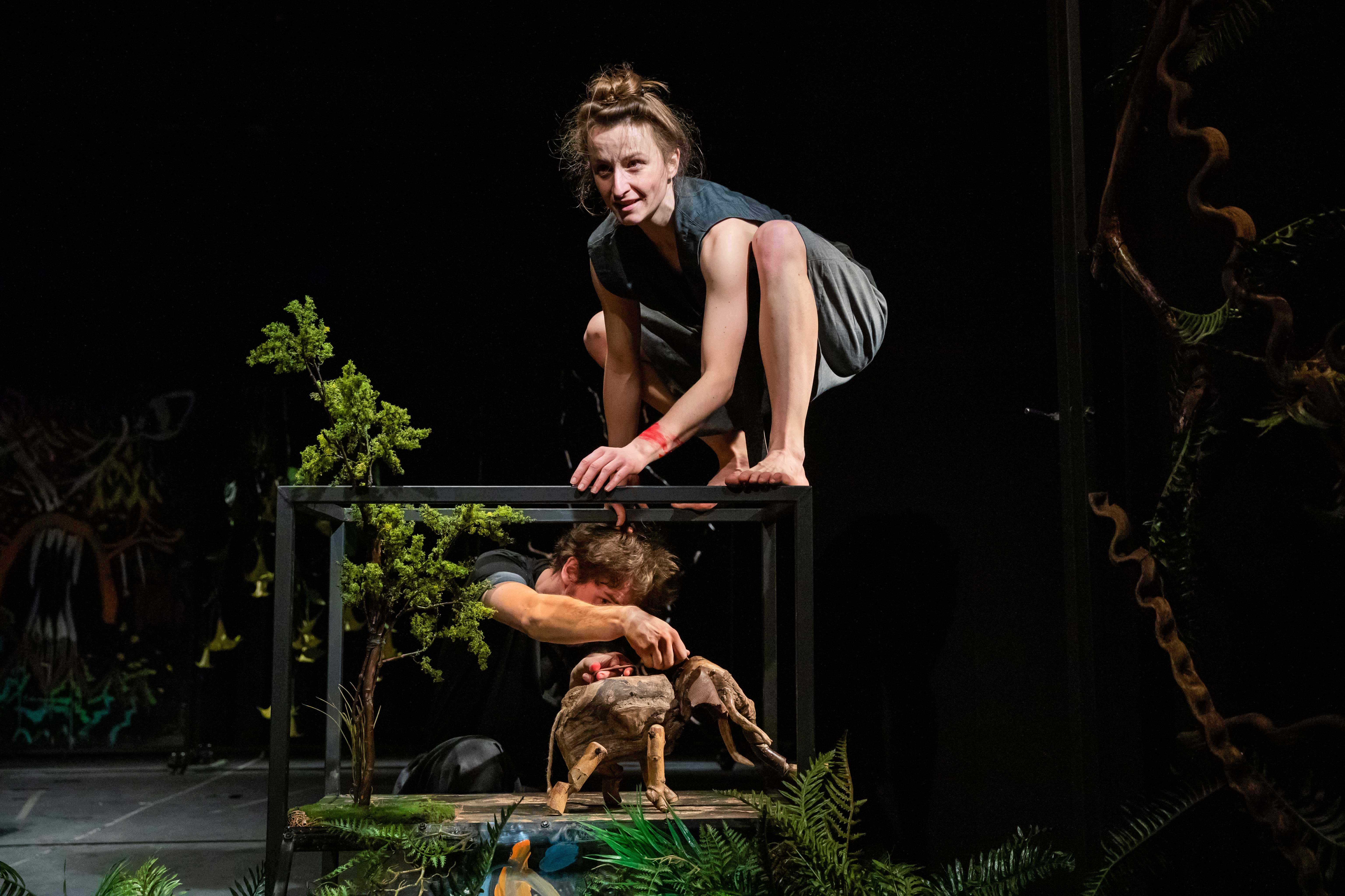 BBD-Maugli-Autor-foto-Juraj-Starovecký